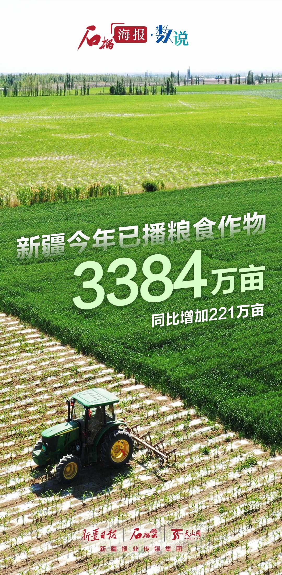 新疆今年已播粮食作物3384万亩 同比增加221万亩