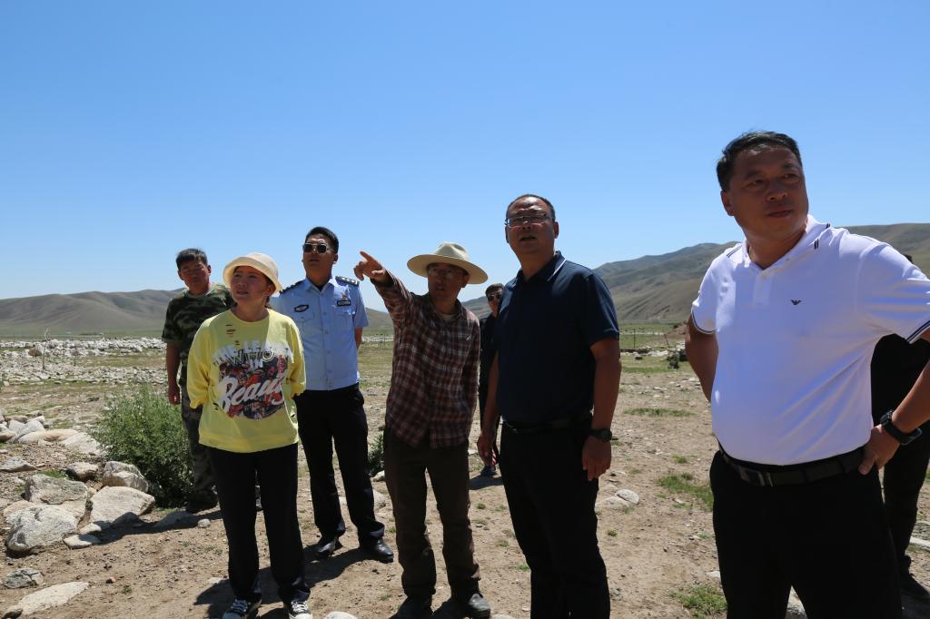 温泉县党委书记郑斌一行考察调研呼斯塔遗址
